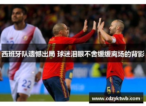 西班牙队遗憾出局 球迷泪眼不舍缓缓离场的背影