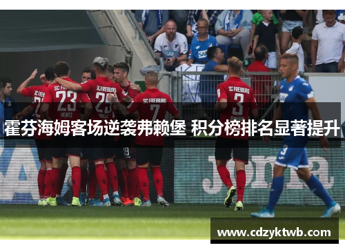 霍芬海姆客场逆袭弗赖堡 积分榜排名显著提升