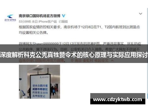 深度解析科克公秃真牲赞令术的核心原理与实际应用探讨