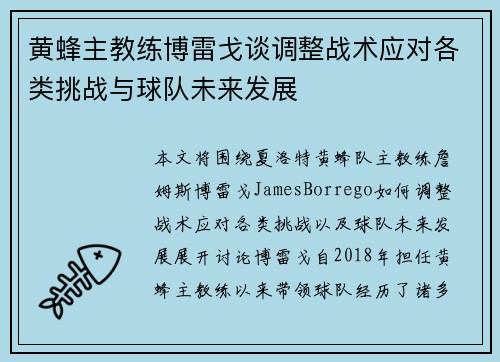 黄蜂主教练博雷戈谈调整战术应对各类挑战与球队未来发展